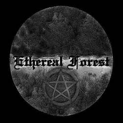 Ethereal Forest : Ethereal Forest